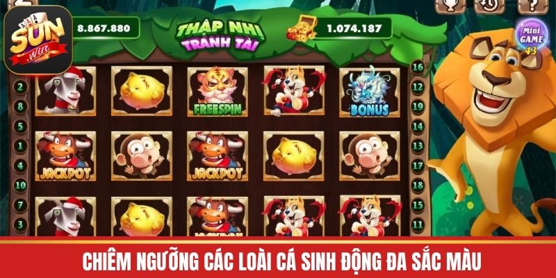 Chiêm ngưỡng các loài cá sinh động đa sắc màu
