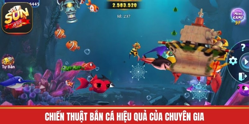 Chiến thuật bắn cá hiệu quả của chuyên gia